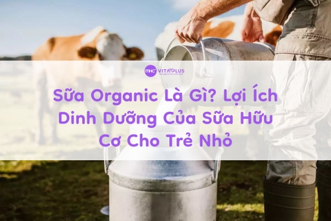 Sữa Organic Là Gì? Lợi Ích Dinh Dưỡng Của Sữa Hữu Cơ Cho Trẻ Nhỏ