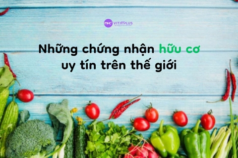 Các Chứng Nhận Hữu Cơ Trên Thế Giới: Tiêu Chuẩn Uy Tín & Dấu Hiệu Nhận Biết