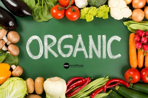 Thực phẩm hữu cơ là gì? Lợi ích và cách nhận biết thực phẩm hữu cơ