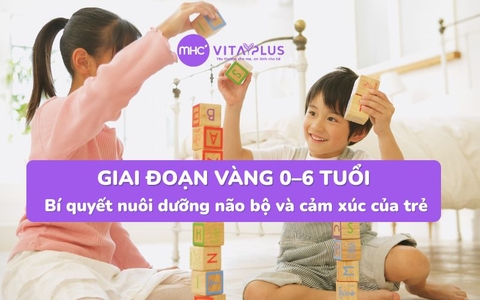 Giai đoạn vàng 0–6 tuổi: Bí quyết nuôi dưỡng não bộ và cảm xúc của trẻ