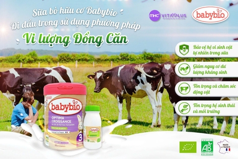 Sữa Bò Hữu Cơ Babybio – Tiên Phong Ứng Dụng Vi Lượng Đồng Căn Trong Chăn Nuôi