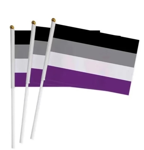 Cờ Asexual LGBT cầm tay 14x21 cm