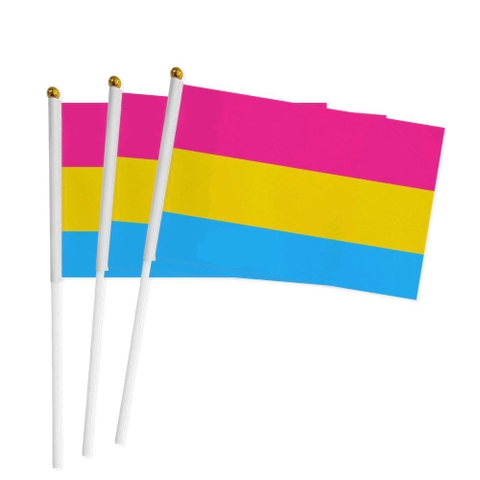 Cờ LGBT Pansexual cầm tay 14x21 cm