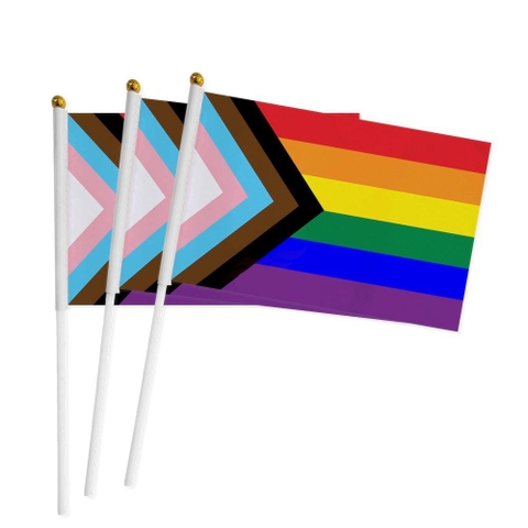 Cờ LGBT LGBTIQ cầm tay 14x21 cm