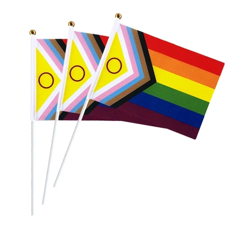 Cờ LGBT Progress Pride PLUS cầm tay 14x21 cm