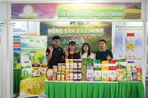 MUA GẠO NGON Ở ĐÂU? GỢI Ý ĐỊA CHỈ MUA GẠO ĐẶC SẢN UY TÍN