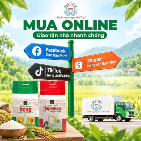 MUA GẠO BẢO MINH Ở ĐÂU? HƯỚNG DẪN CÁC KÊNH MUA GẠO CHÍNH HÃNG