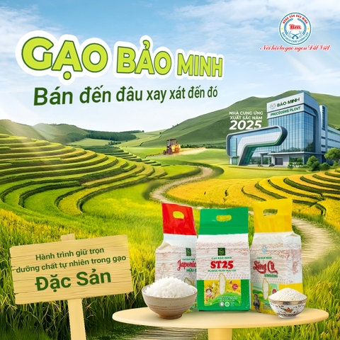 BÍ QUYẾT GIỮ TRỌN HƯƠNG VỊ GẠO TƯƠI: TẠI SAO BẢO MINH 