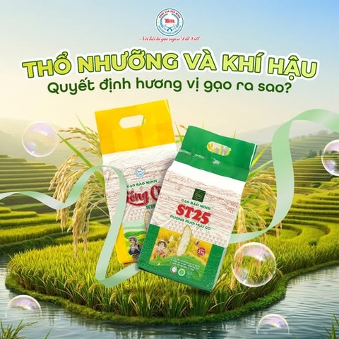 THỔ NHƯỠNG VÀ KHÍ HẬU: 