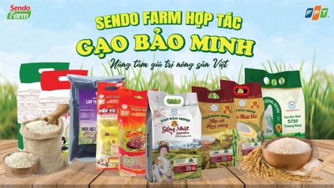 Sendo Farm và Bảo Minh ký kết hợp tác chiến lược: Bước tiến mới cho hạt gạo Việt trên nền tảng số
