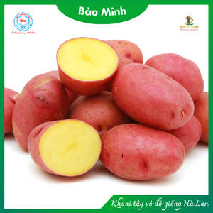 Khoai tây vỏ đỏ giống Hà Lan 1kg