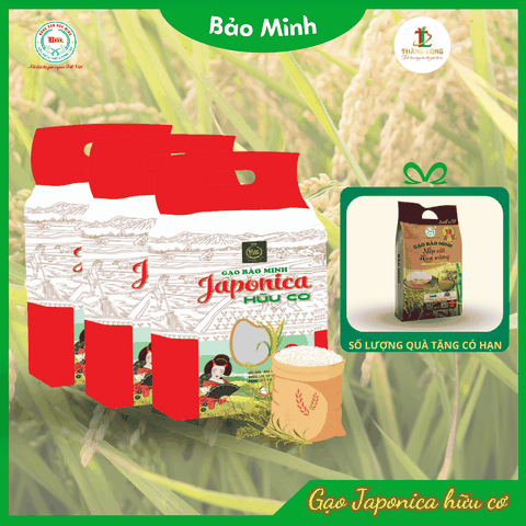 Combo 3 túi gạo Japonica 2kg hữu cơ tặng 1 túi gạo nếp cái hoa vàng 1kg