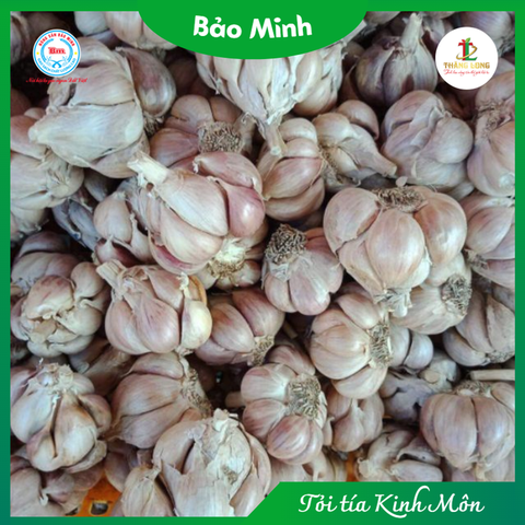 1kg tỏi tía đặc sản Kinh Môn Hải Dương