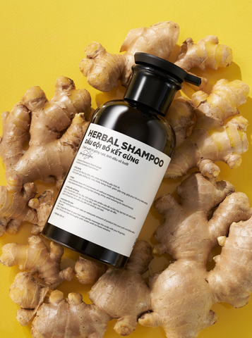 HERBAL SHAMPOO - Dầu gội Bồ Kết Gừng @beautywithHan