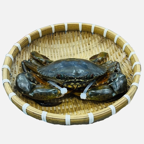 Cua Thịt Cà Mau Sống