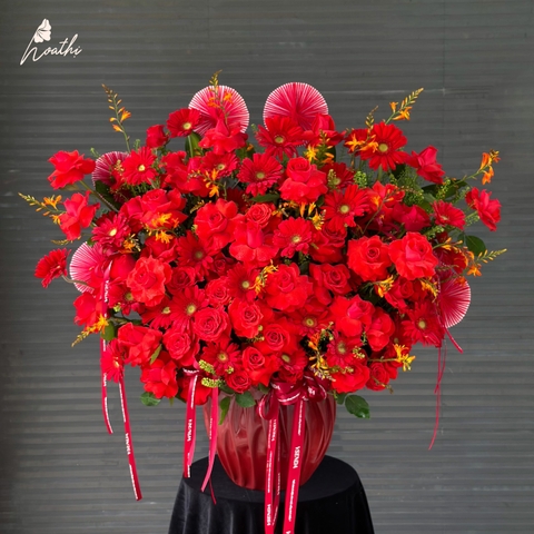 Chậu Hoa Hồng Phát - Hoa Tươi Khai Trương