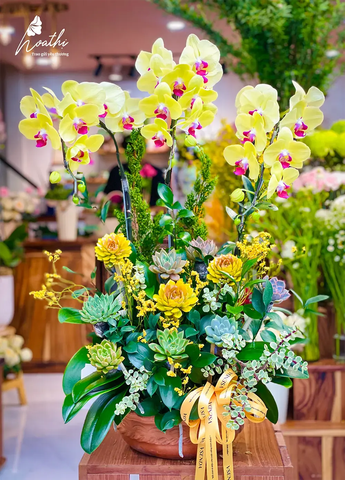 Thiên Sắc