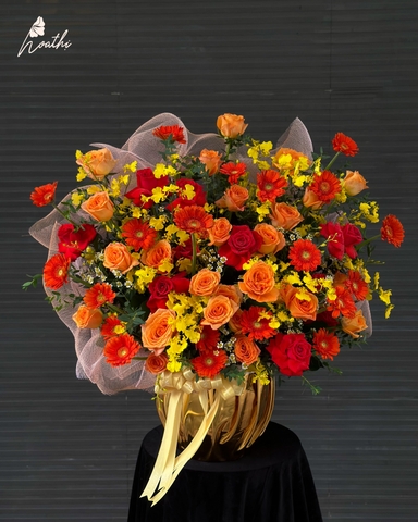 Rực Rỡ - Chậu Hoa Khai Trương