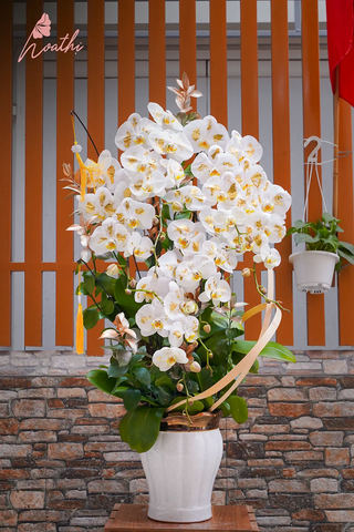 Lộng Lẫy