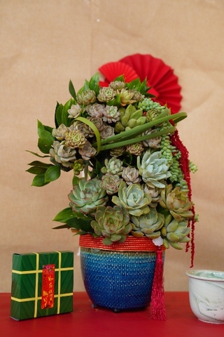 Mã đáo thành công HT27