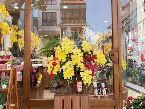 Hoàng Lan Vạn Phúc HT28