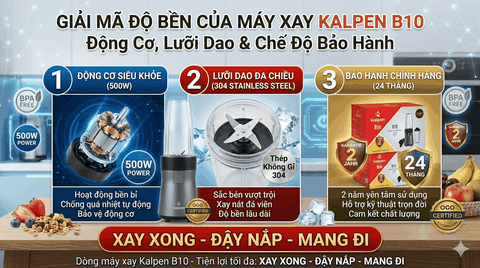 Đập Hộp Máy Xay Kalpen B10 500W: Động Cơ Đồng Nguyên Chất Đáng Tiền!