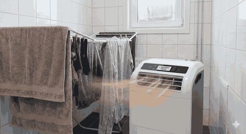 Kinh nghiệm mua máy hút ẩm cho chung cư: Chọn sao cho Chuẩn và Tiết kiệm?