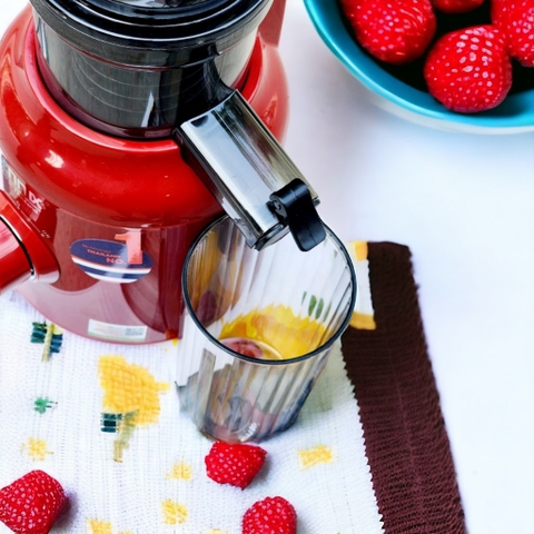 Máy Ép Chậm, Ép Trái Cây Nguyên Quả, 2 Lưới Lọc BENNIX BN-09SJ