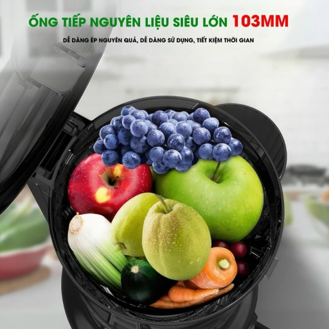 Máy Ép Chậm, Ép Trái Cây Nguyên Quả, 2 Lưới Lọc BENNIX BN-09SJ