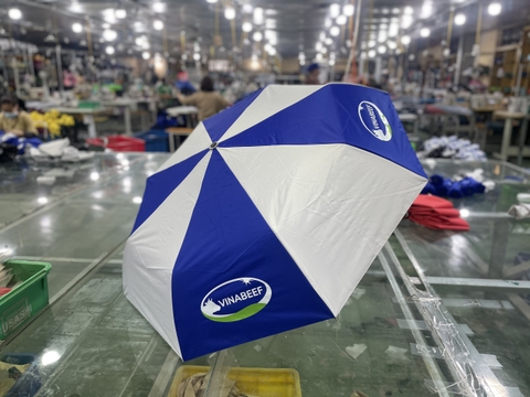 Dù Cầm Tay In Logo Chất Lượng Cao – Bí Quyết Nâng Tầm Thương Hiệu