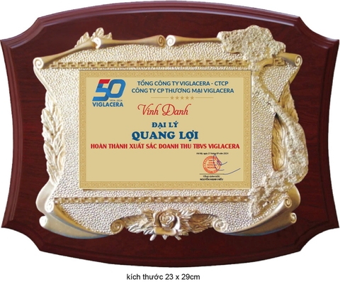 Bảng Vinh Danh Độc Đáo Từ Tặng Thanh Long – Tôn Vinh Thành Tựu Đại Lý Viglacera