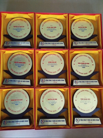 Quà Tặng Thanh Long – Tôn Vinh Cá Nhân Xuất Sắc Bằng Kỷ Niệm Chương Gỗ Đồng Cao Cấp