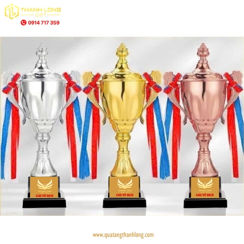Cúp bóng đá kim loại - in logo theo yêu cầu - 9903