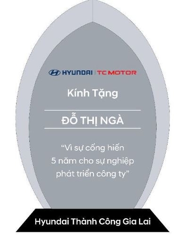 Kỷ niêm chương Huynhdai thủy tinh