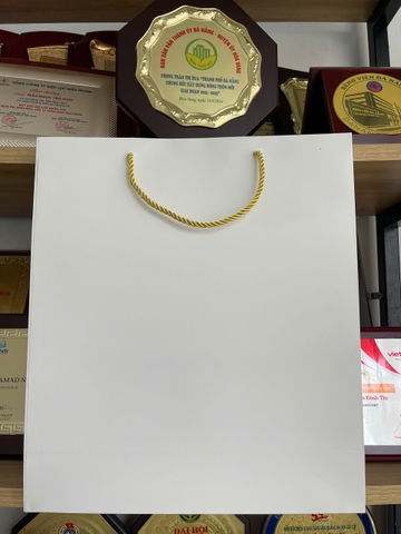 Túi giấy có sẵn màu trắng (39x34.5x12cm)
