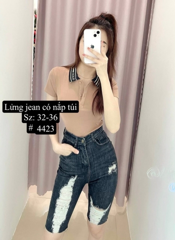 NGỐ XÁM RÁCH TÚI NẮP 4423