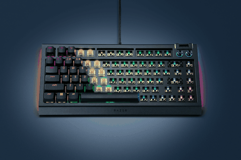 Razer BlackWidow V4 75% Barebones – Bước ngoặt “dân chơi phím” của nhà Razer