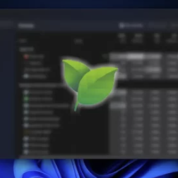 Efficiency Mode là gì? Hướng dẫn cách bật Efficiency Mode để tối ưu Win11