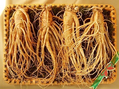 Sâm tươi 금산 4  củ thân dài