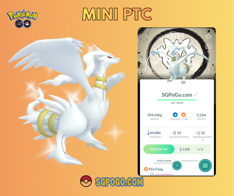 pokemon cards with shiny background Holographic Pokmon Card 1999 shiny Charizard Pokmon card