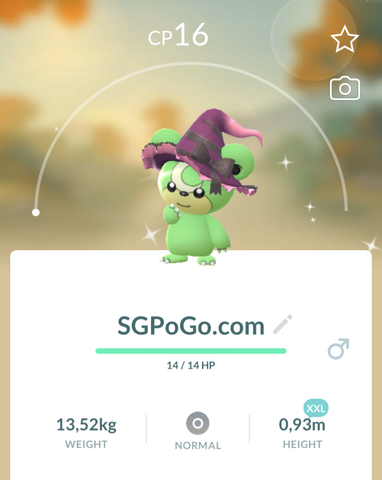Shiny Teddiursa Witch Hat Size XXL & Level 1✨