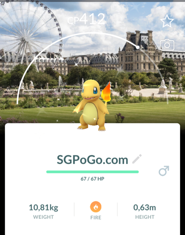 Pokemon✨Shiny Charmander Background Paris Tuileries Garden ✨