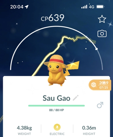 Shiny Pikachu with Straw hat