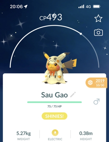 Shiny Mimikyu Pikachu