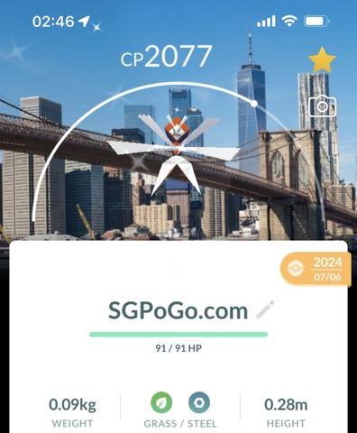 Shiny Katana with New York background (Go Fest 2024)