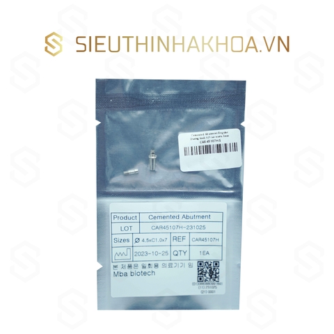 Cemented Abutment Regular