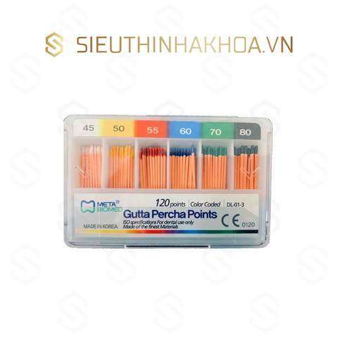 Cone Gutta Chính
