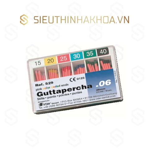 Cone Gutta Chính