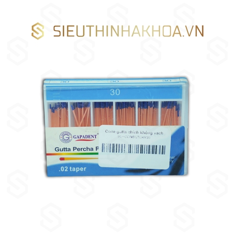 Cone Gutta Chính Không Vạch