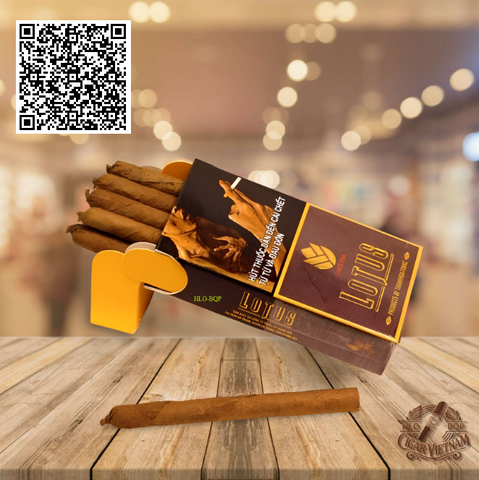 CIGAR - LOTUS CLUB (Hộp 10 điếu)